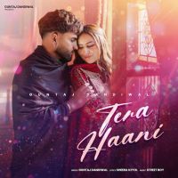 download Tera Haani Guntaj Dandiwal mp3 song ringtone, Tera Haani Guntaj Dandiwal full album download
