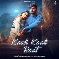 download Kaali Kaali Raat Vikram Sarkar mp3 song ringtone, Kaali Kaali Raat Vikram Sarkar full album download