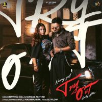 download Try Out Navroz Gill mp3 song ringtone, Try Out Navroz Gill full album download