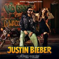 download Justin Bieber Elvish Yadav, Anu Amanat mp3 song ringtone, Justin Bieber Elvish Yadav, Anu Amanat full album download