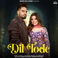 download Dil Tode DJ Flow mp3 song ringtone, Dil Tode DJ Flow full album download