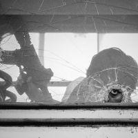 download Gangster Why Mani Longia mp3 song ringtone, Gangster Why Mani Longia full album download