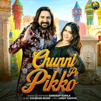 download Chunni Pe Pikko Sandeep Surila mp3 song ringtone, Chunni Pe Pikko Sandeep Surila full album download
