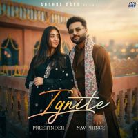 download Ignite Preetinder mp3 song ringtone, Ignite Preetinder full album download