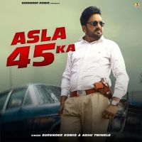 download Asla 45 Ka Surender Romio, Ashu Twinkle mp3 song ringtone, Asla 45 Ka Surender Romio, Ashu Twinkle full album download