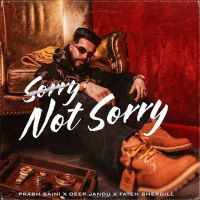 download SORRY,NOT SORRY! Prabh Saini mp3 song ringtone, SORRY,NOT SORRY! Prabh Saini full album download