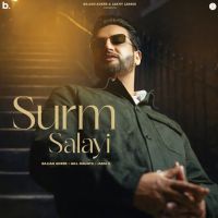 download Surm Salayi Sajjan Adeeb mp3 song ringtone, Surm Salayi Sajjan Adeeb full album download