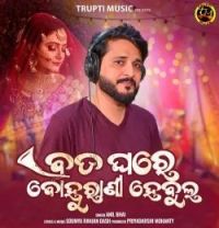 download Bada Ghare Bahurani Habulo Anil Bhai mp3 song ringtone, Bada Ghare Bahurani Habulo Anil Bhai full album download
