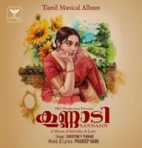 download Kannaadi Christine P Thomas mp3 song ringtone, Kannaadi Christine P Thomas full album download