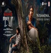 download Nijamena Jayasri Pallem mp3 song ringtone, Nijamena Jayasri Pallem full album download