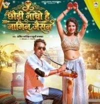 download Chhaudi Nacho Hai Nagin Jaisan Amit Ashik , Khushi Kakkar mp3 song ringtone, Chhaudi Nacho Hai Nagin Jaisan Amit Ashik , Khushi Kakkar full album download