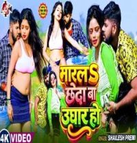 download Marala Chheda Ba Ughar Ho Shailesh Premi mp3 song ringtone, Marala Chheda Ba Ughar Ho Shailesh Premi full album download