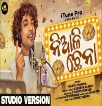 download Niali Chhena 2.0 Mantu Chhuria mp3 song ringtone, Niali Chhena 2.0 Mantu Chhuria full album download