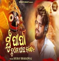 download Mu Papi Tume Papa Nasana Sourav Bharadwaj mp3 song ringtone, Mu Papi Tume Papa Nasana Sourav Bharadwaj full album download
