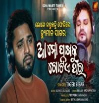 download Aa Mo Pakhaku Gotie Thara Tiger mp3 song ringtone, Aa Mo Pakhaku Gotie Thara Tiger full album download