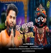 download HE JADUGAR KALA NAGRA Tiger Bibar mp3 song ringtone, HE JADUGAR KALA NAGRA Tiger Bibar full album download