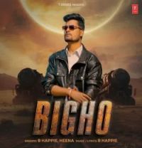 download Bigho Sunil Dhulia, Heena mp3 song ringtone, Bigho Sunil Dhulia, Heena full album download