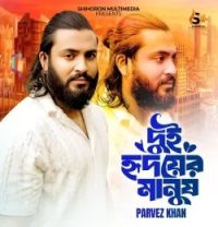 download Dui Hridoyer Manush Parvez Khan mp3 song ringtone, Dui Hridoyer Manush Parvez Khan full album download