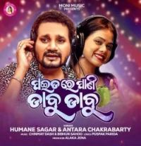 download PAIDA RE PANI DABU DABU Humane Sagar, Antara Chakrabarty mp3 song ringtone, PAIDA RE PANI DABU DABU Humane Sagar, Antara Chakrabarty full album download