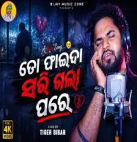 download To Faida Sarigala Pare Tiger Bibhar mp3 song ringtone, To Faida Sarigala Pare Tiger Bibhar full album download