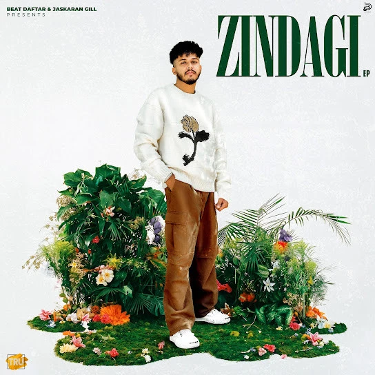 download Ammiye Ashar mp3 song ringtone, Zindagi - EP Ashar full album download