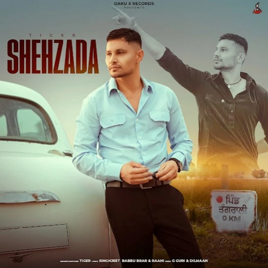 download Pardesan Bhaina Tiger mp3 song ringtone, Shezada Tiger full album download