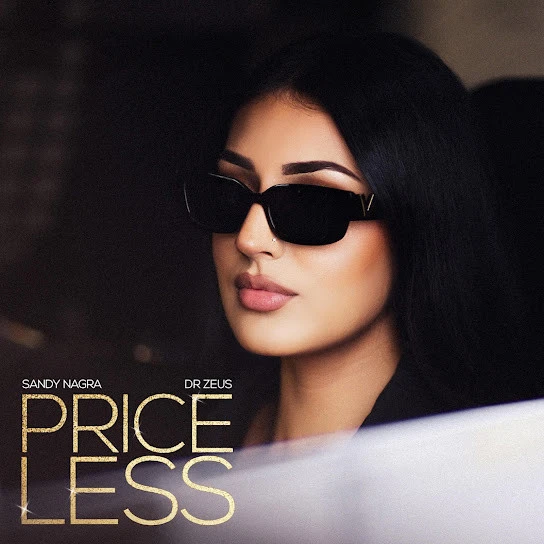 download Priceless Sandy Nagra mp3 song ringtone, Priceless Sandy Nagra full album download