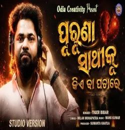 download Purunaa Sathi Ku Kiye ba pachare Tiger Bibhar mp3 song ringtone, Purunaa Sathi Ku Kiye ba pachare Tiger Bibhar full album download