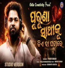 download Purunaa Sathi Ku Kiye ba pachare Tiger Bibhar mp3 song ringtone, Purunaa Sathi Ku Kiye ba pachare Tiger Bibhar full album download