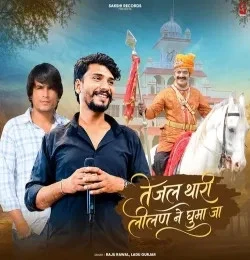 download Tejal Thari Lilan Ne Ghuma Ja Raju Rawal, Ladu Gurjar mp3 song ringtone, Tejal Thari Lilan Ne Ghuma Ja Raju Rawal, Ladu Gurjar full album download