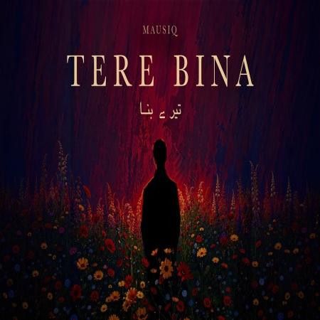download Tere Bina Mausiq, Ananya Mishra mp3 song ringtone, Tere Bina Mausiq, Ananya Mishra full album download