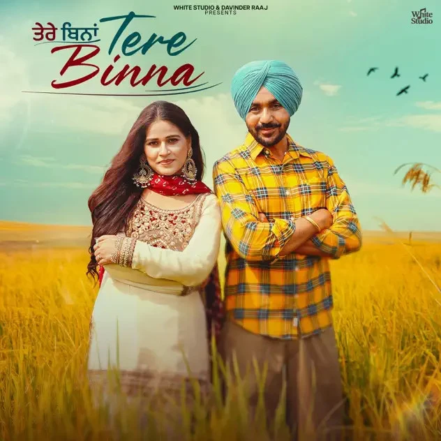 download Tere Binna Gurvinder Brar, Sudesh Kumari mp3 song ringtone, Tere Binna Gurvinder Brar, Sudesh Kumari full album download